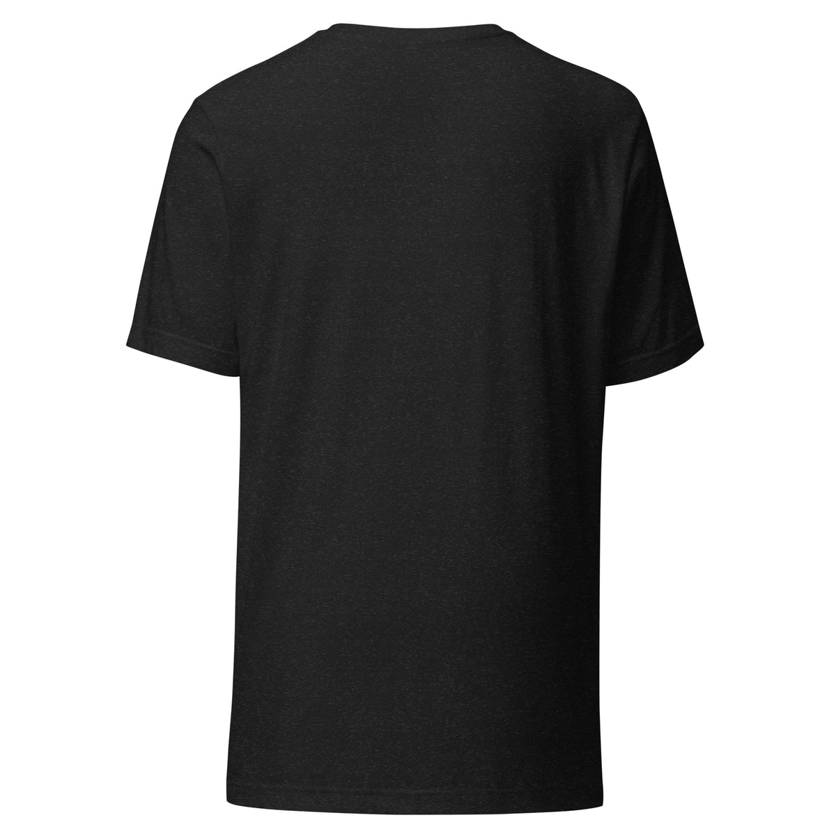 Back of the Gulf of America retro map tee in black heather, plain with no print